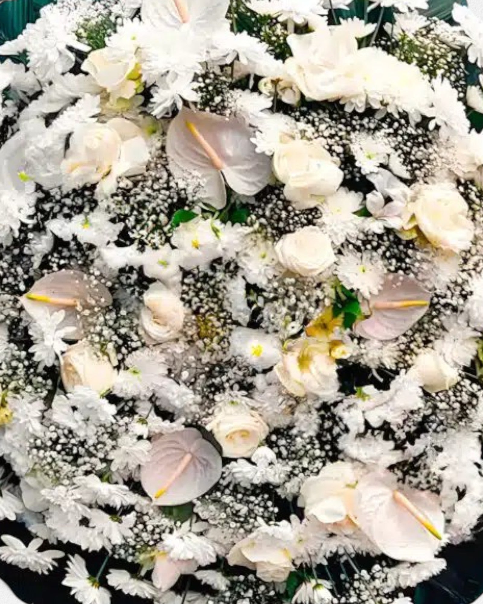 Coroa Clássica 6 - Imagem 3