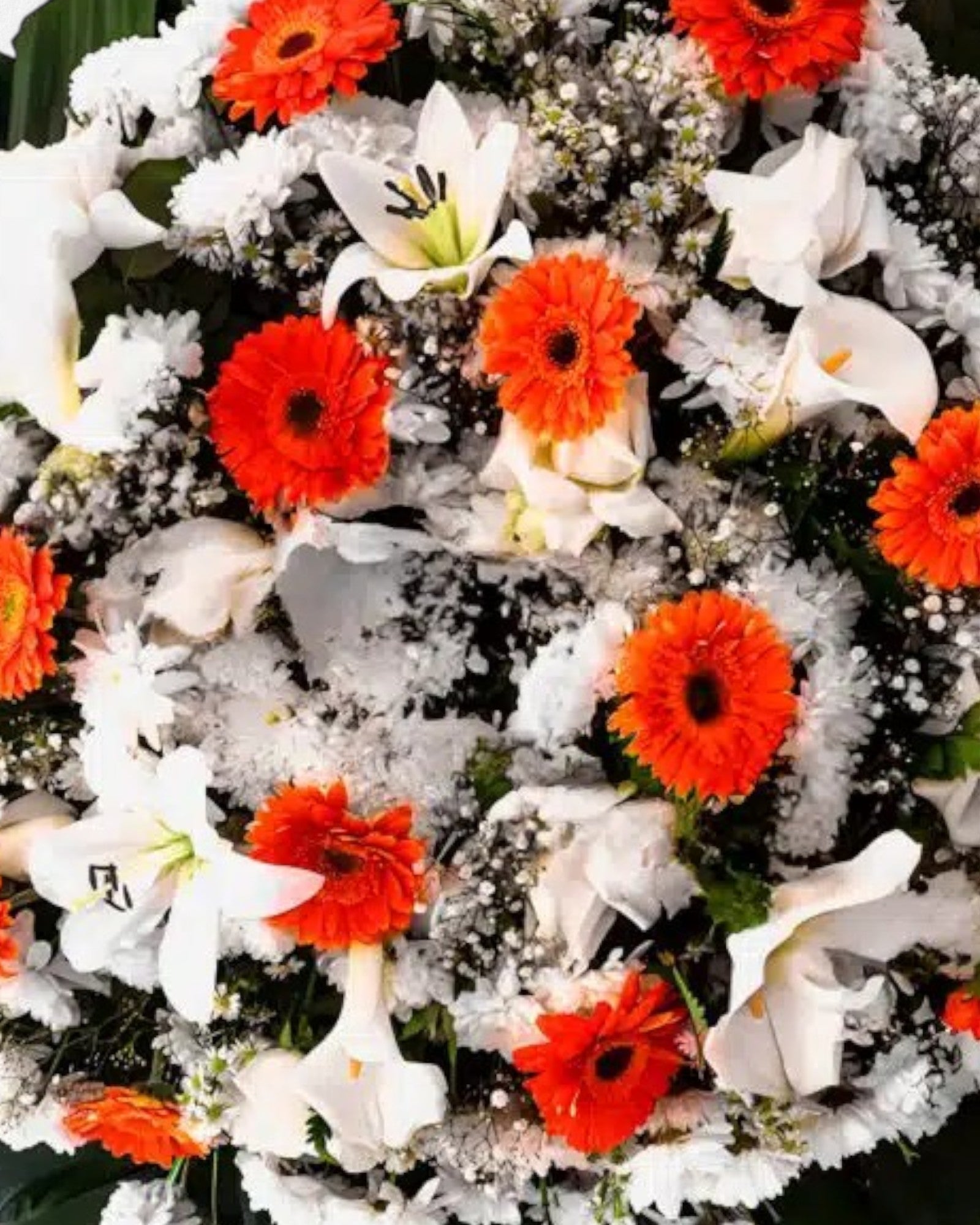 Coroa Clássica 4 - Imagem 3