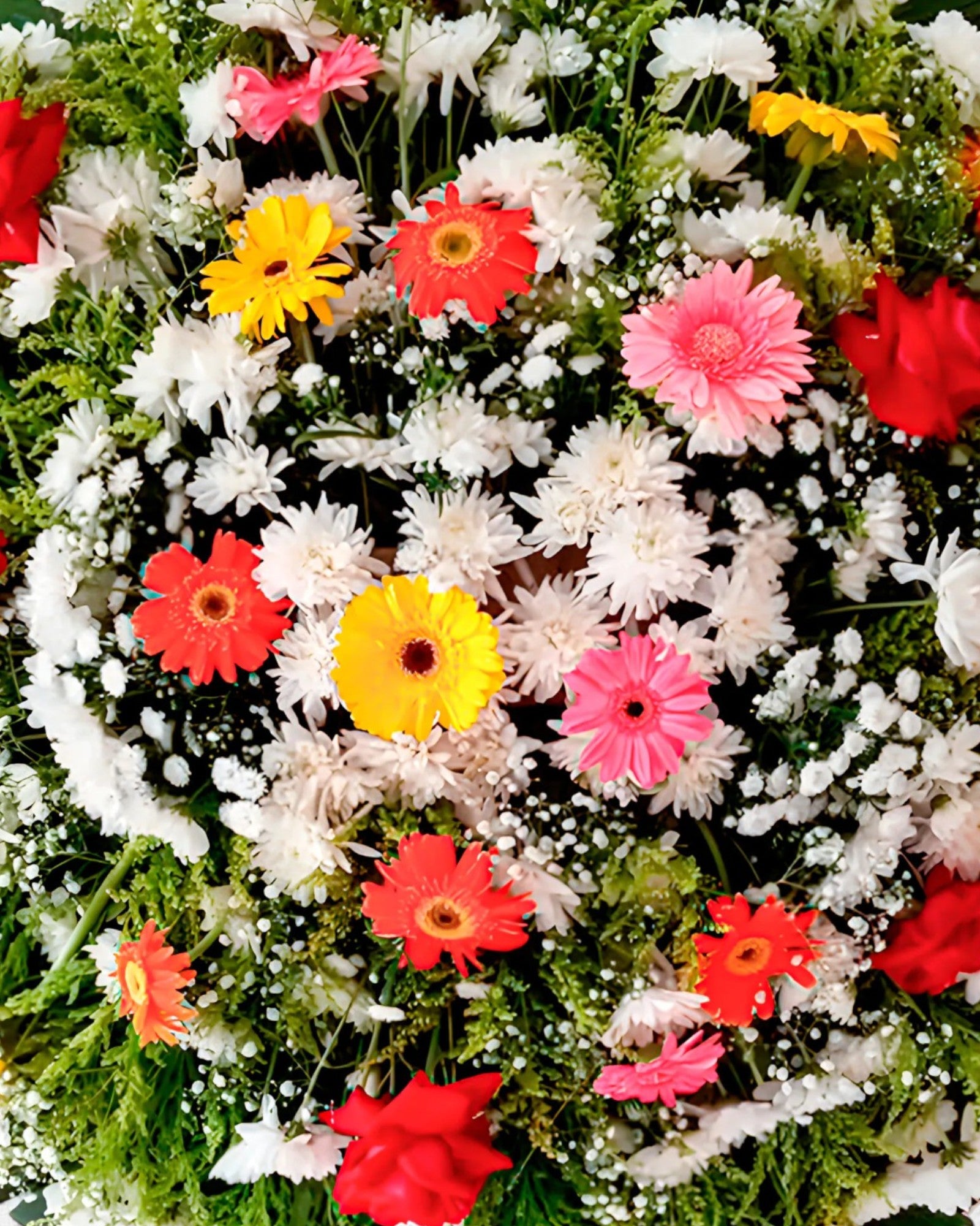 Coroa Clássica 3 - Imagem 3