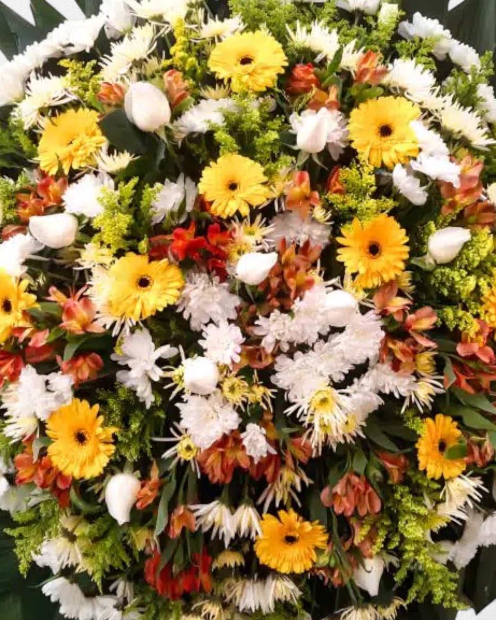 Coroa Clássica 2 - Imagem 3