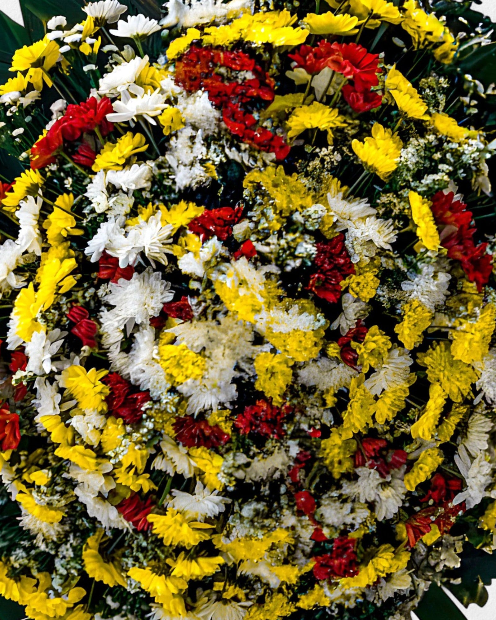 Coroa Tradicional 6 - Imagem 3