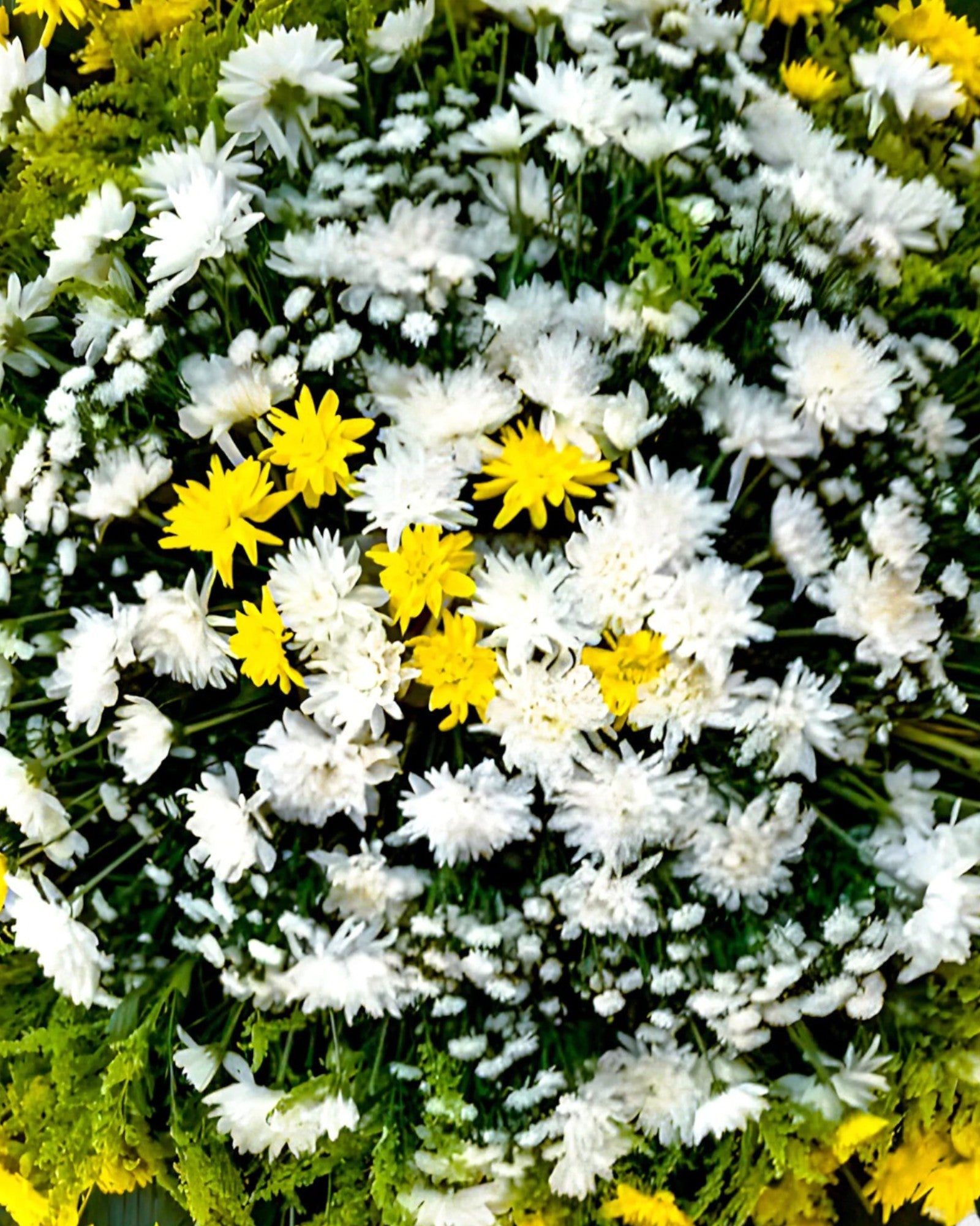 Coroa Tradicional 5 - Imagem 3