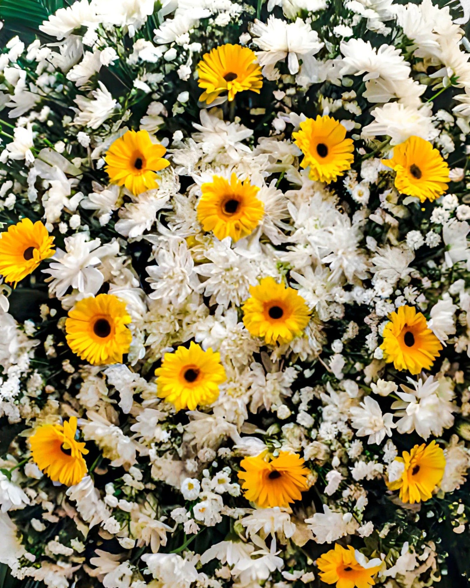 Coroa Clássica 7 - Imagem 3